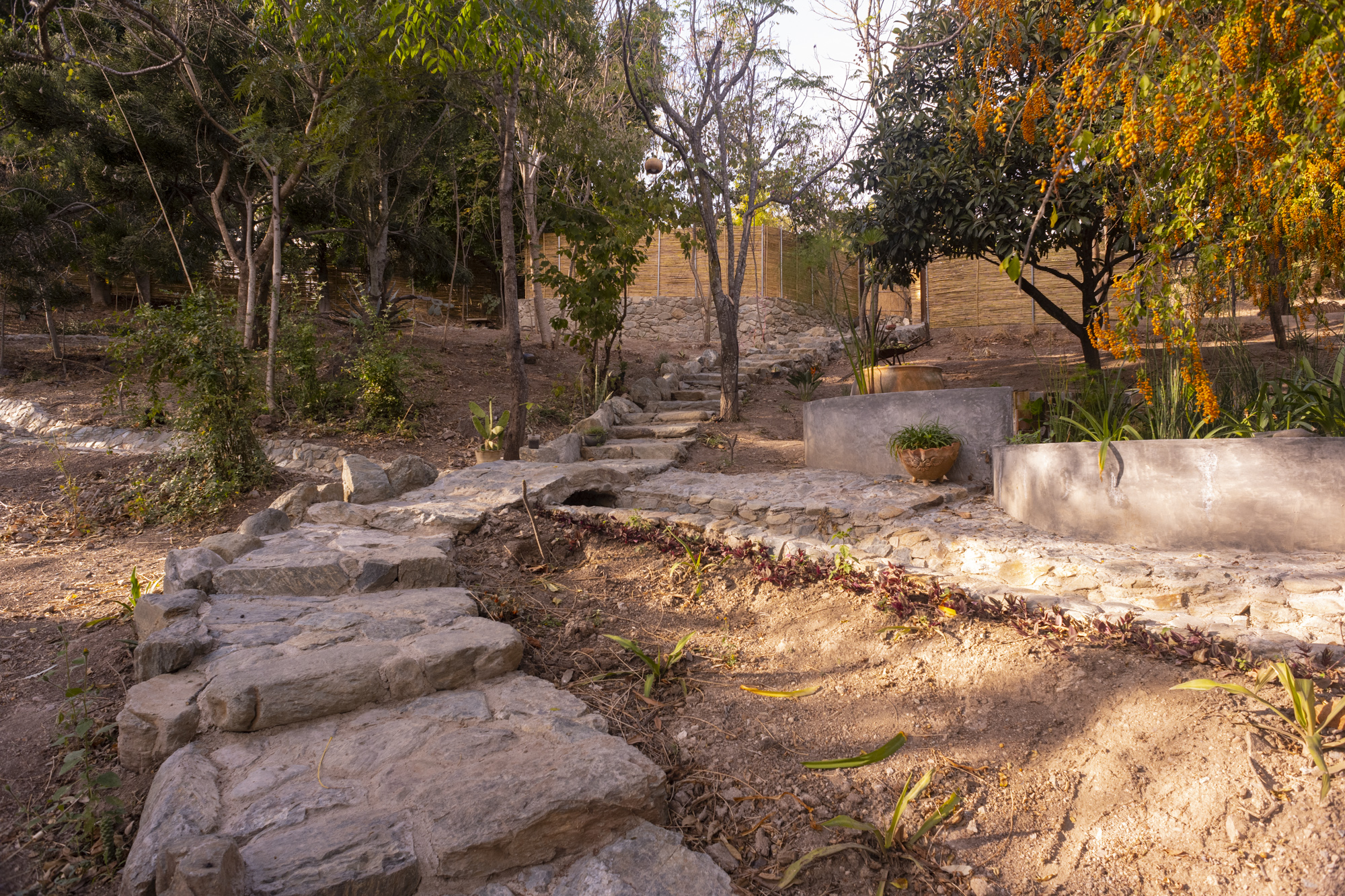 upper garden with pond and stone dragon stairs