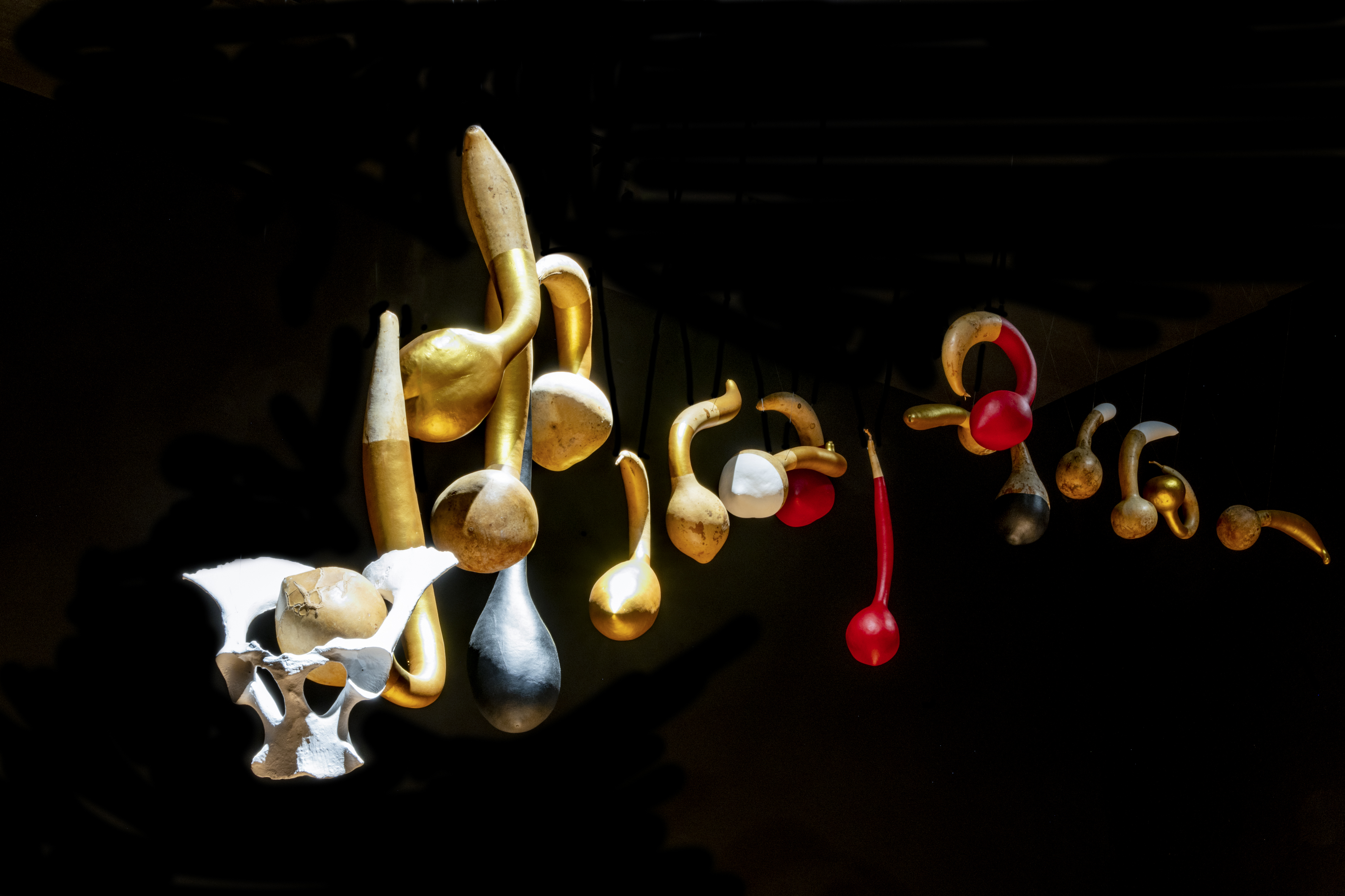  Gunas, 2022
Escultura. Pelvis y guajes pintados/ Sculpture. Pelvis and painted dried squashes.
4.50 x .5 m. Aprox.
